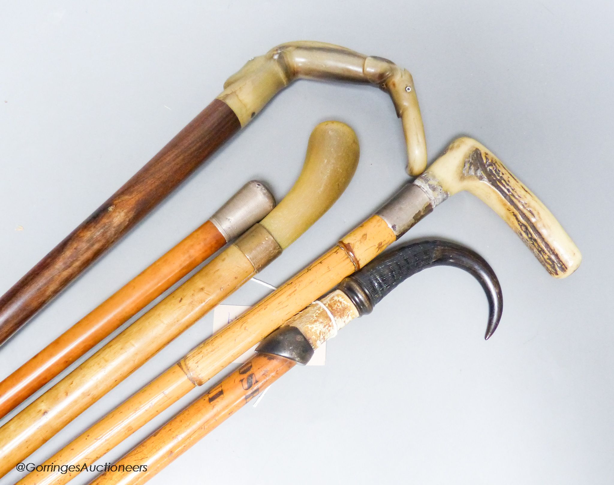 Five various walking sticks: three horn-handled, one silver-mounted and the other antler